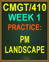 CMGT/410 Week 1 PM Landscape